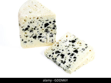 Francese chiamato formaggio Roquefort, formaggio prodotto con latte di pecora Foto Stock