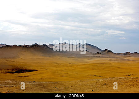 Paesaggio IN PARACAS NATIONAL PARK, Perù Foto Stock