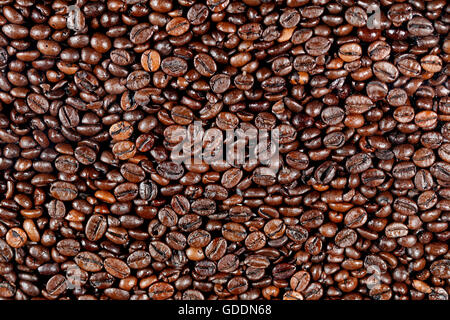 Chicchi di caffè Foto Stock