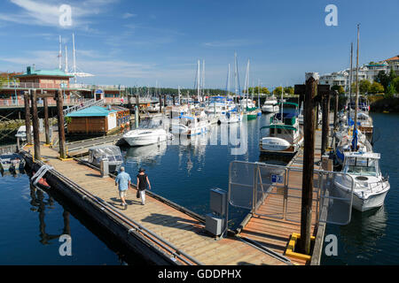 Canada,Columbia Britannica,l'isola di Vancouver,Nanaimo,marina,dock,pier,navi, Foto Stock