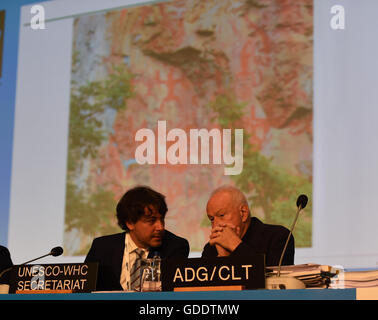 (160715) -- Istanbul, luglio 15, 2016 (Xinhua) -- i rappresentanti discutere durante la valutazione della Cina Huashan Zuojiang rock-il paesaggio culturale di arte presso la quarantesima sessione del Comitato del Patrimonio Mondiale tenutasi a Istanbul, Turchia, luglio 15, 2016. Della Cina di Zuojiang Huashan rock-il paesaggio culturale di arte è stato aggiunto alla lista del Patrimonio Mondiale qui il venerdì. (Xinhua/Egli Canling) Foto Stock