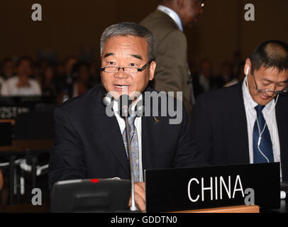 (160715) -- Istanbul, luglio 15, 2016 (Xinhua) -- Liu Shuguang, vice amministratore della Cina le amministrazione dello Stato del patrimonio culturale, parla dopo la Cina del Zuojiang Huashan rock-il paesaggio culturale di arte è stato aggiunto alla lista del Patrimonio Mondiale presso la quarantesima sessione del Comitato del Patrimonio Mondiale tenutasi a Istanbul, Turchia, luglio 15, 2016. Della Cina di Zuojiang Huashan rock-il paesaggio culturale di arte è stato aggiunto alla lista del Patrimonio Mondiale qui il venerdì. (Xinhua/Egli Canling) Foto Stock