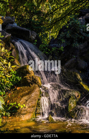 Torino, Italia. 16 Luglio, 2016. Italia Piemonte Torino estate al Parco Velentino cascate Credito: Davvero Facile Star/Alamy Live News Foto Stock