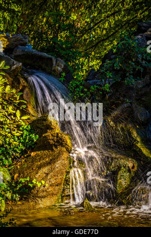 Torino, Italia. 16 Luglio, 2016. Italia Piemonte Torino estate al Parco Velentino cascate Credito: Davvero Facile Star/Alamy Live News Foto Stock