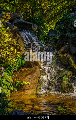 Torino, Italia. 16 Luglio, 2016. Italia Piemonte Torino estate al Parco Velentino cascate Credito: Davvero Facile Star/Alamy Live News Foto Stock