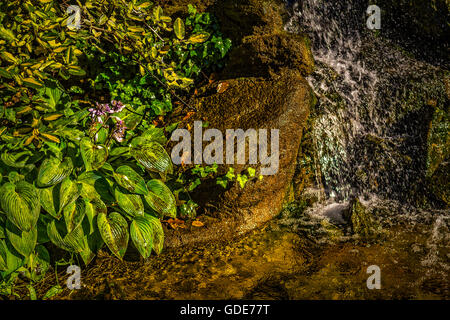 Torino, Italia. 16 Luglio, 2016. Italia Piemonte Torino estate al Parco Velentino cascate Credito: Davvero Facile Star/Alamy Live News Foto Stock