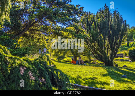 Torino, Italia. 16 Luglio, 2016. Italia Piemonte Torino estate a Velentino parco giardino di roccia Credito: Davvero Facile Star/Alamy Live News Foto Stock