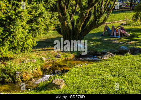 Torino, Italia. 16 Luglio, 2016. Italia Piemonte Torino estate a Velentino parco giardino di roccia Credito: Davvero Facile Star/Alamy Live News Foto Stock