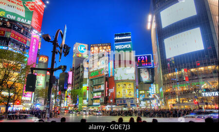 Tokyo, Giappone, Asia,Shibuya,città,città,luce al neon,bivio,annuncio,colori,notte,centro,pubblicità, Foto Stock