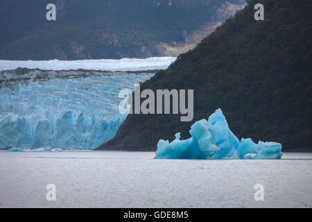 Spegazzini, ghiacciaio,l'Argentina,Patagonia Foto Stock