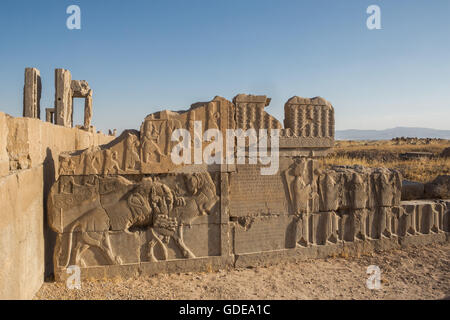 Iran,Persepolis città,le rovine di Persepolis,rilievo in scala Apadana,Apadana Palace Foto Stock