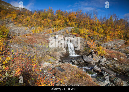 Abisko,parco nazionale,brook,montagna,l'Europa,autunno,autunno colori,paesaggio, paesaggio,Lapponia,Njulla,Svezia,Scandinavia Foto Stock