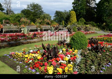 Parco Singleton Giardini Botanici Sketty Swansea Glamorgan Galles Foto Stock