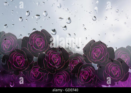 Gruppo di fantasia rosa e viola purle roses pattern linea luce incandescenza schema di montaggio su sfondo waterdrop Foto Stock
