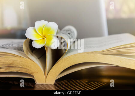 Dolce fiore romantico plumeria o frangipani sul libro e forma di cuore su seppia vintage del tono di colore con soft umore e spazio di copia Foto Stock
