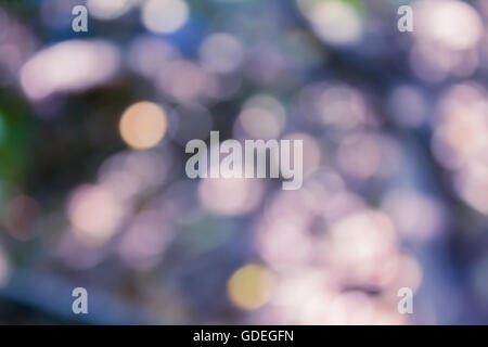 Scintilla colorati e soffiare bokeh di fondo naturale nella meravigliosa fantasia viola sfondo perple Foto Stock