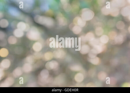 Scintilla colorati e soffiare bokeh di fondo naturale nella meravigliosa fantasia umore sfondo astratto Foto Stock