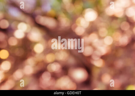 Scintilla colorati e soffiare bokeh di fondo naturale nella meravigliosa fantasia sfondo secondo lo stato d'animo Foto Stock