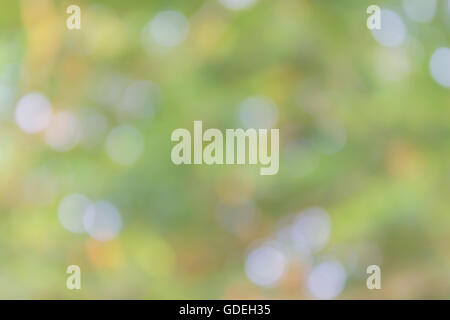 Scintilla colorati sognante e soffiare bokeh di fondo naturale nella meravigliosa fantasia verde sfondo pastello Foto Stock