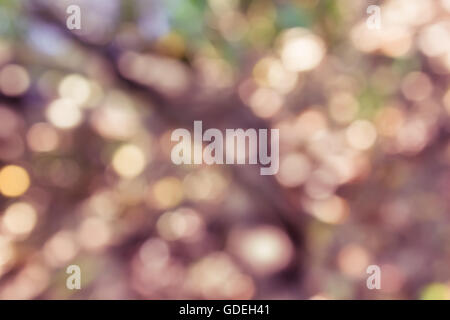 Scintilla colorati e soffiare bokeh di fondo naturale nella meravigliosa fantasia umore sfondo astratto Foto Stock