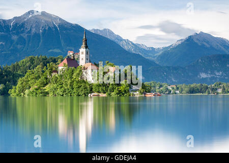 Chiesa di St Martin su Bled Island, il lago di Bled Slovenia Foto Stock