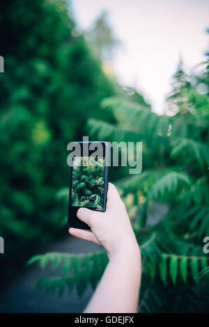 Donna di fotografare le piante con lo smartphone Foto Stock