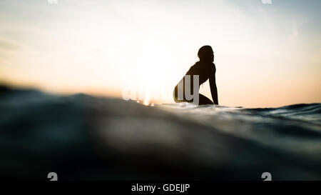 Silhouette di una donna seduta sulla tavola da surf in oceano, Malibu, California, america, STATI UNITI D'AMERICA Foto Stock