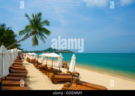 Mae Nam Beach, Ko Samui, Tailandia Foto Stock