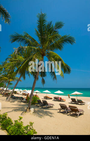 La spiaggia di Chaweng, Ko Samui, Tailandia Foto Stock