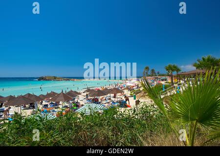 Spiaggia di Nissi, Ayia Napa, la Repubblica di Cipro Foto Stock