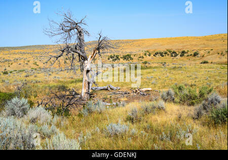 Little Bighorn Battlefield National Monument Foto Stock