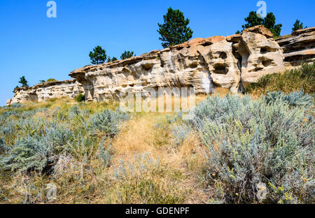Campo di Battaglia di Rosebud parco dello stato Foto Stock
