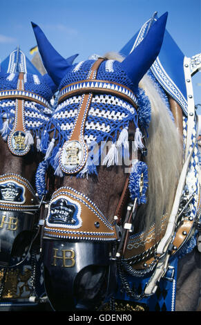 La fabbrica di birra a cavallo e Oktoberfest Monaco di Baviera, Germania Foto Stock