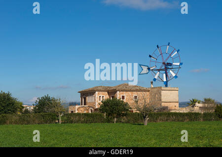 Finca vicino a Llucmajor, Maiorca, isole Baleari, Spagna Foto Stock