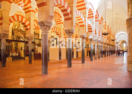 Sala Colonne, Cattedrale Mezquita, precedentemente Mezquita Moschea, Cordoba, Andalusia, Spagna / La Mezquita Foto Stock