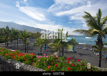 Playa Jardin in Puerto de la Cruz, Tenerife, Isole Canarie, Spagna Foto Stock