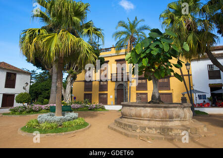 Icod, Tenerife, Isole Canarie, Spagna Foto Stock