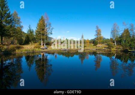 Moor paesaggio vicino Oberjoch, Allgaeu, Baviera, Germania Foto Stock