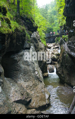 Flume Starzlach vicino Burgberg, a Sonthofen, Allgaeu, Baviera, Germania Foto Stock