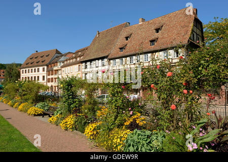 La città vecchia, Wissembourg, Alsazia, Francia / Weissenburg Foto Stock