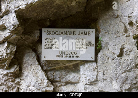 Grotta Skocjanske, adriatico, Istria, slowian, europa Foto Stock