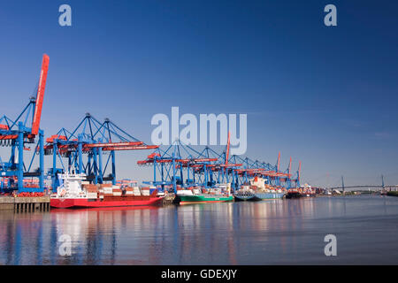 Le navi portacontainer e alimentatore sul contenitore HHLA-terminale, Amburgo, Germania, Europa Foto Stock