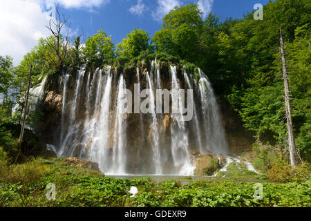 Croazia, Europa, giugno 2013, Nationalpark Plitvicer visto Foto Stock