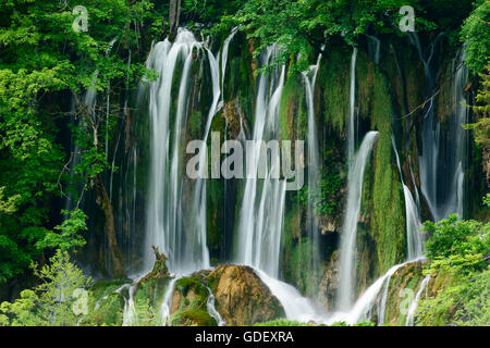 Croazia, Europa, giugno 2013, Nationalpark Plitvicer visto Foto Stock