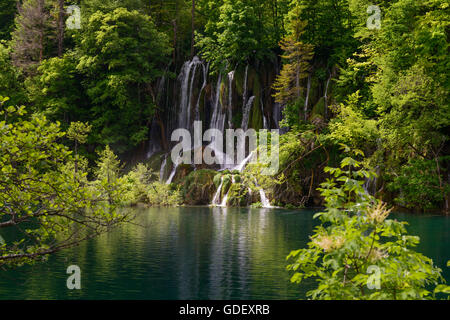 Croazia, Europa, giugno 2013, Nationalpark Plitvicer visto Foto Stock