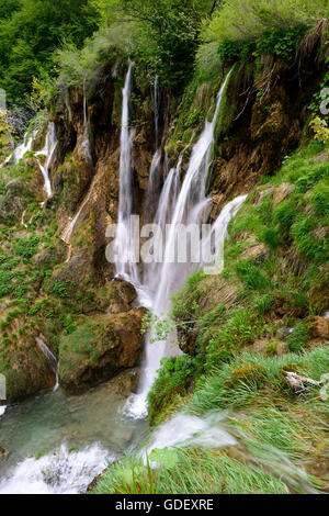 Croazia, Europa, giugno 2013, Nationalpark Plitvicer visto Foto Stock