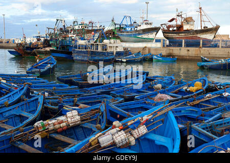 Marocco, Africa, barche da pesca, porta, Essaouira Foto Stock