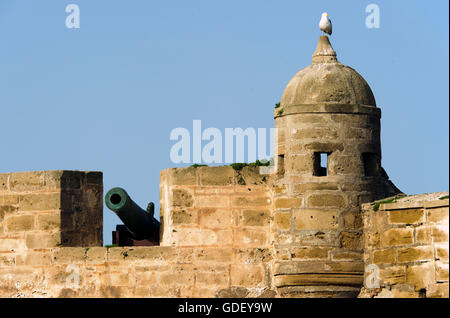 Marocco, Africa, porta, Essaouira, fortezza Foto Stock