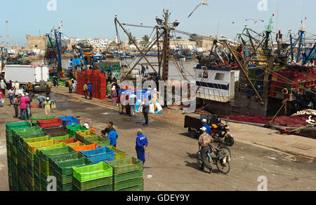 Marocco, Africa, porta, Essaouira Foto Stock