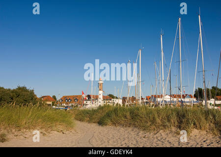 Spiaggia Vicino Timmendorf, Poel isola, Meclemburgo-Pomerania Occidentale, Germania, Europa Foto Stock